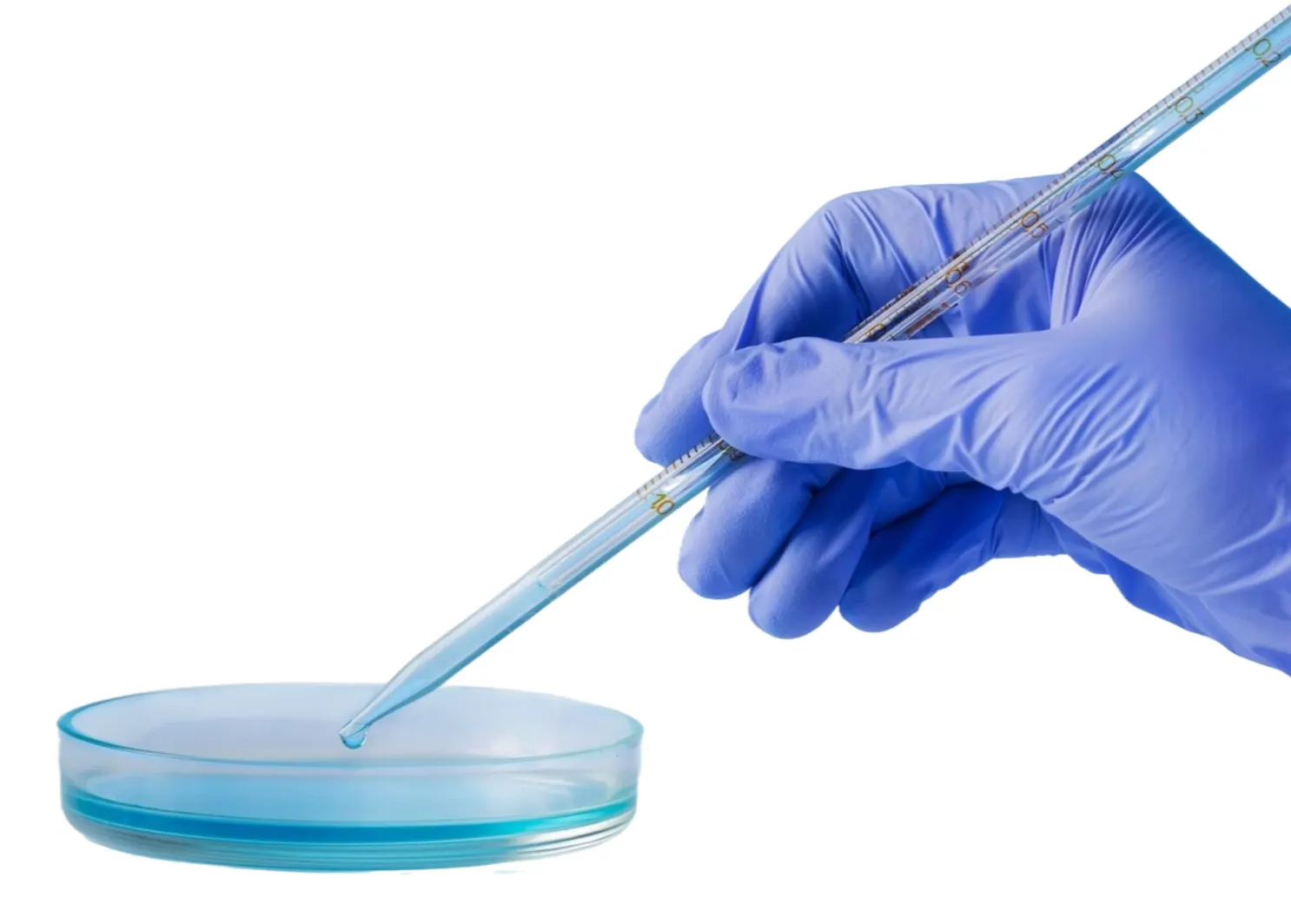 Formulation scientist working with a pipette and petri dish